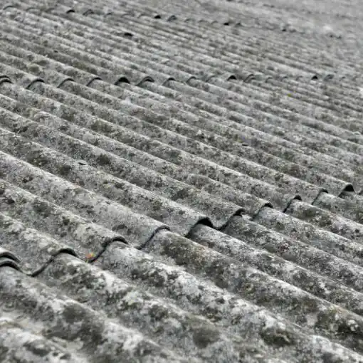 Asbestos Testing Bulk Sampling