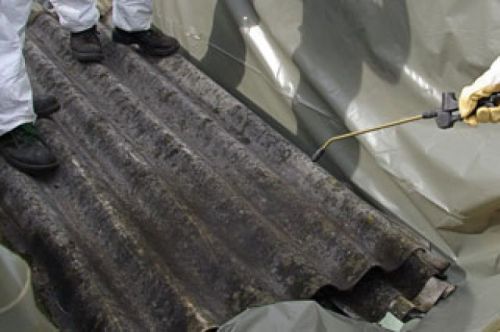 Click Here To Enlarge This Photo Of Guide to Managing Asbestos