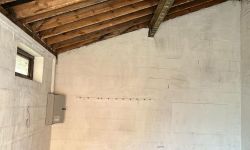 ICE Asbestos' March Update