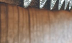 How do I know if I need an asbestos survey?
