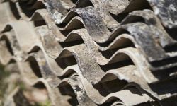 What to do if you think you have asbestos