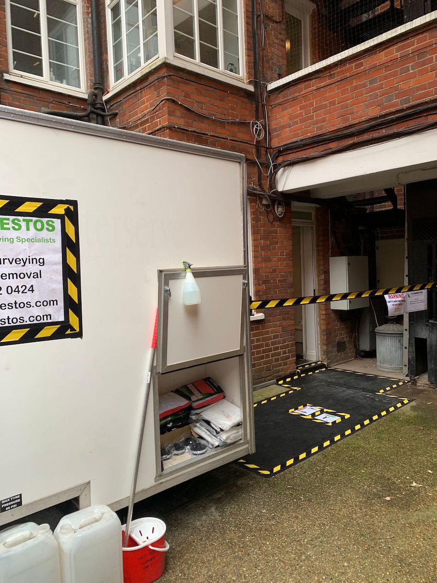 licensed asbestos specialist removal